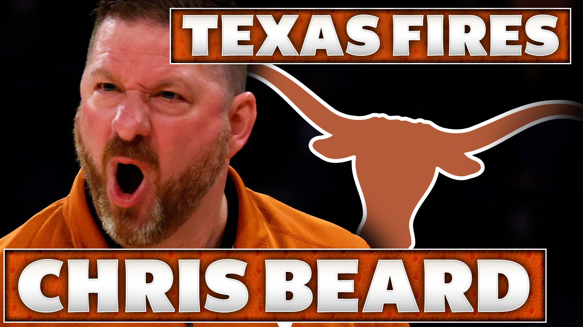 Texas Longhorns Thumbnail